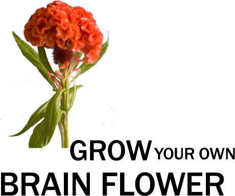 Grow your own brain flower