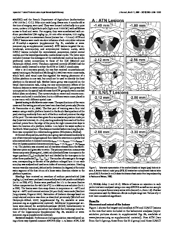 Download The intralaminar thalamic nuclei contribute to remote spatial memory.