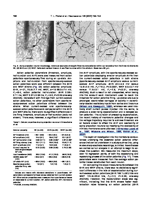 Download Differences in striatal spiny neuron action potentials between the spontaneously hypertensive and Wistar-Kyoto rat strains.