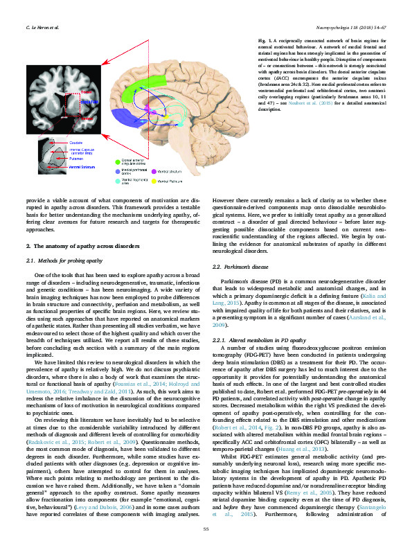 Download The anatomy of apathy: a neurocognitive framework for amotivated behaviour.