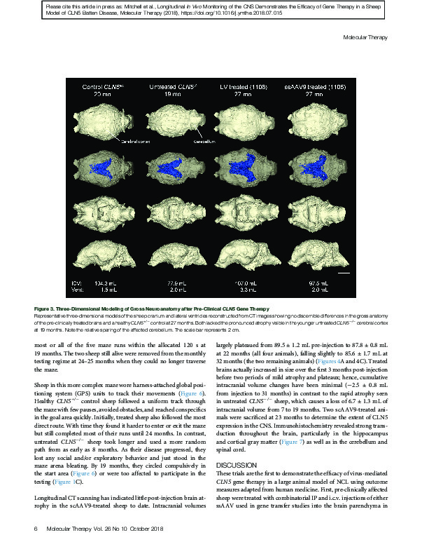 Download Longitudinal in vivo monitoring of the CNS demonstrates the efficacy of gene therapy in a sheep model of CLN5 Batten disease.