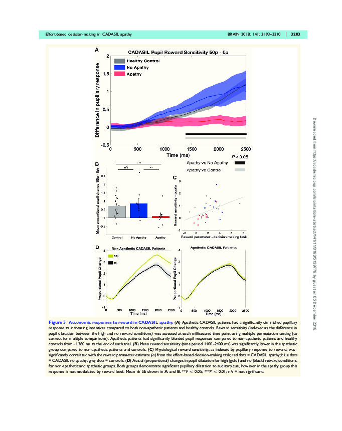 Download Dysfunctional effort-based decision-making underlies apathy in genetic cerebral small vessel disease.