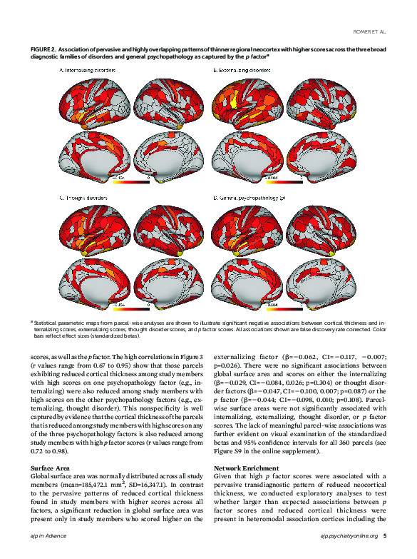 Download Pervasively thinner neocortex as a transdiagnostic feature of general psychopathology.