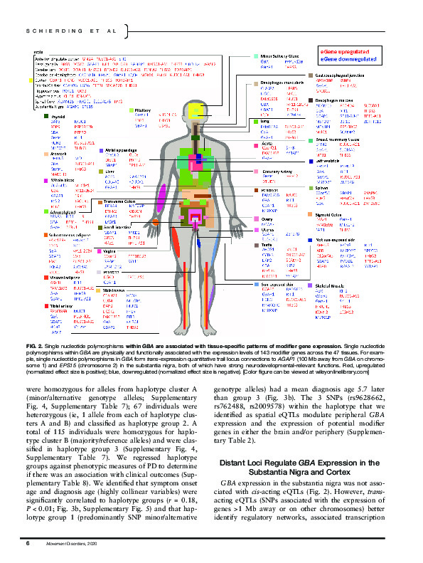 Download Common variants coregulate expression of GBA and modifier genes to delay Parkinson’s disease onset.