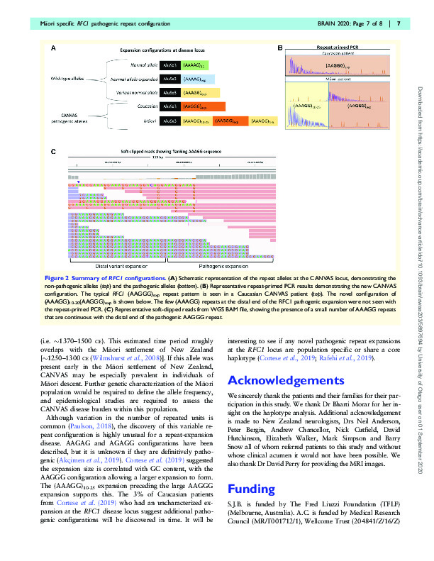 Download A Māori specific RFC1 pathogenic repeat configuration in CANVAS, likely due to a founder allele.