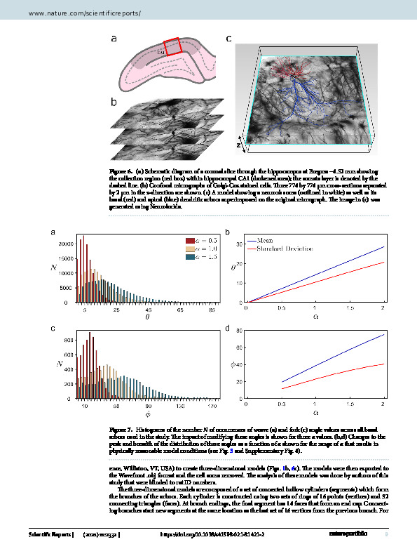 Download How neurons exploit fractal geometry to optimize their network connectivity.