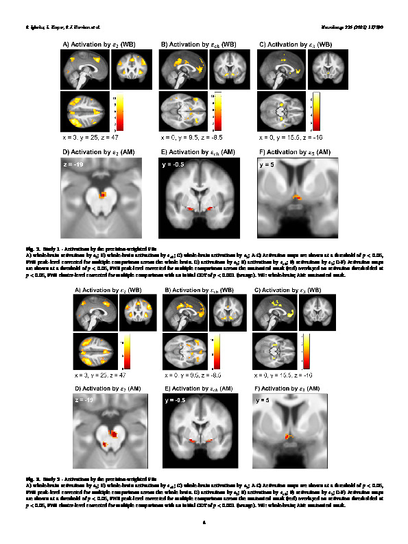 Download Cholinergic and dopaminergic effects on prediction error and uncertainty responses during sensory associative learning.
