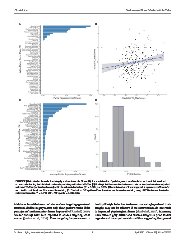 Download Midlife cardiovascular fitness is reflected in the brain’s white matter.