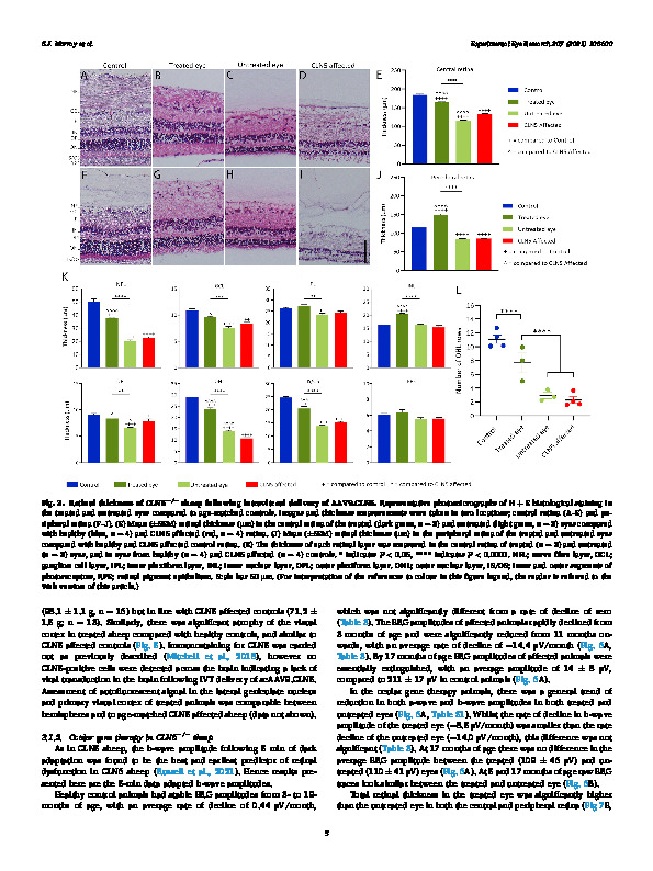 Download Intravitreal gene therapy protects against retinal dysfunction and degeneration in sheep with CLN5 Batten disease.