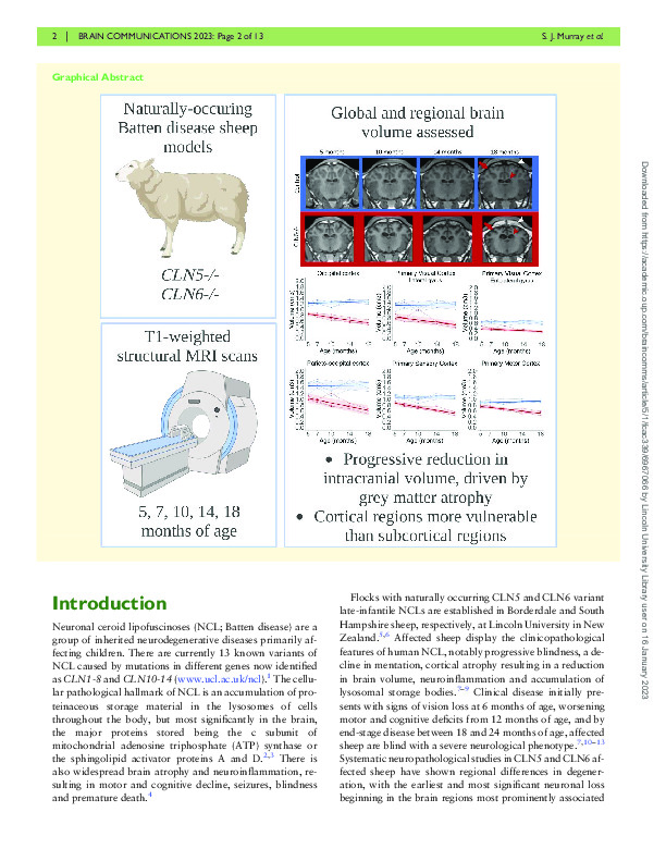 Download Progressive MRI brain volume changes in ovine models of CLN5 and CLN6 neuronal ceroid lipofuscinosis.