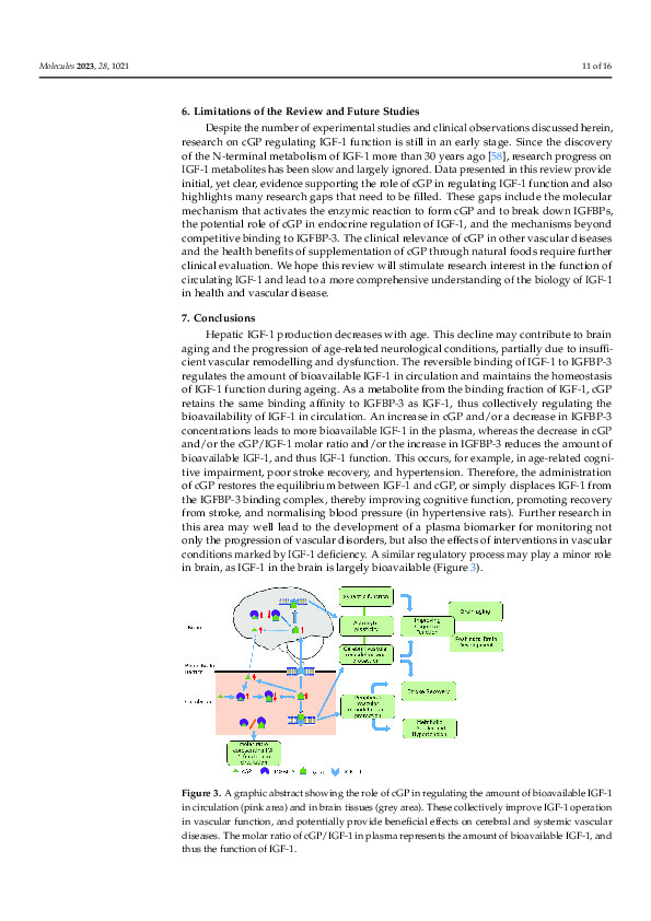 Download Cyclic Glycine-Proline (cGP) Normalises Insulin-Like Growth Factor-1 (IGF-1) Function: Clinical Significance in the Ageing Brain and in Age-Related Neurological Conditions.