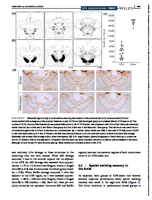 Download Anterior thalamic nuclei: A critical substrate for non‐spatial paired‐associate memory in rats.