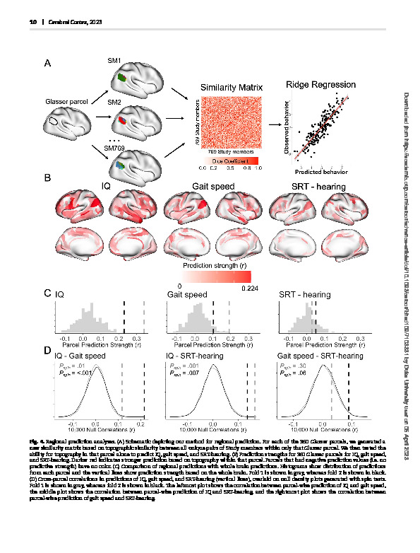 Download Functional topography of the neocortex predicts covariation in complex cognitive and basic motor abilities.