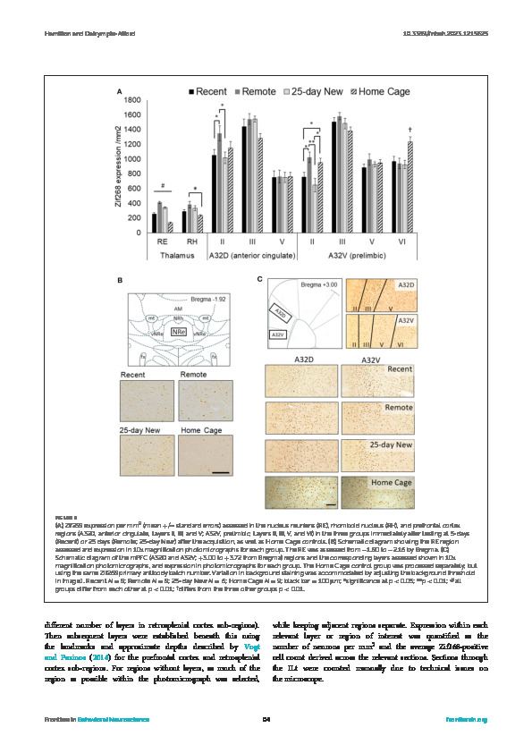 Download The thalamic reuniens is associated with consolidation of non-spatial memory too.