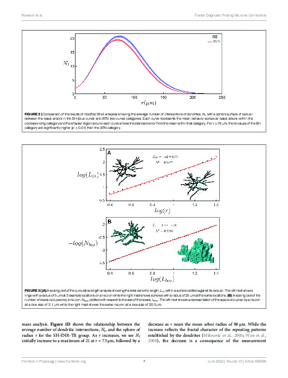 Download Investigating fractal analysis as a diagnostic tool that probes the connectivity of hippocampal neurons.